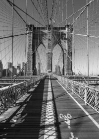 2020 Bridge Brooklyn Bridge