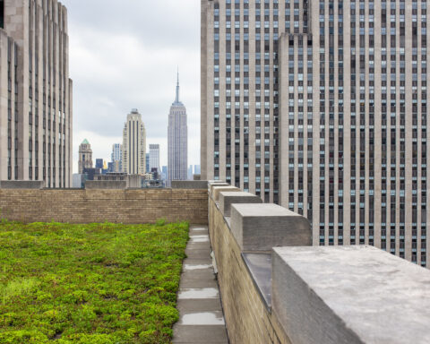 Green roofs in NYC